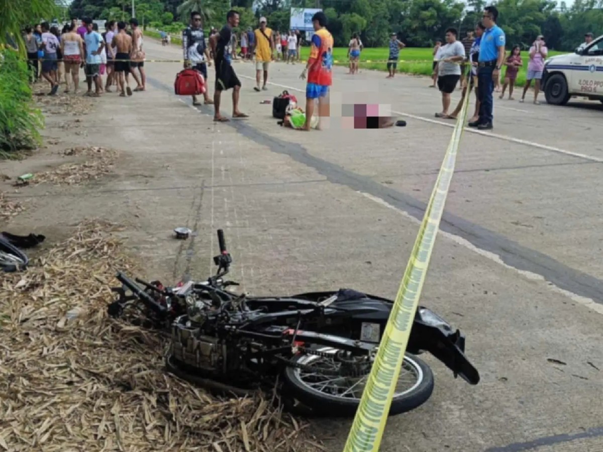 The Wins and Losses of Transport in&nbsp;2025